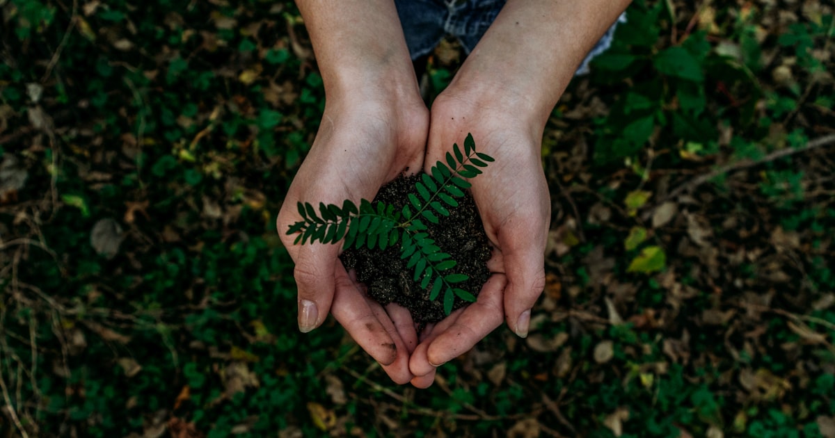 Let us save our Mother Earth!